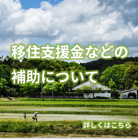 移住支援金などの補助について