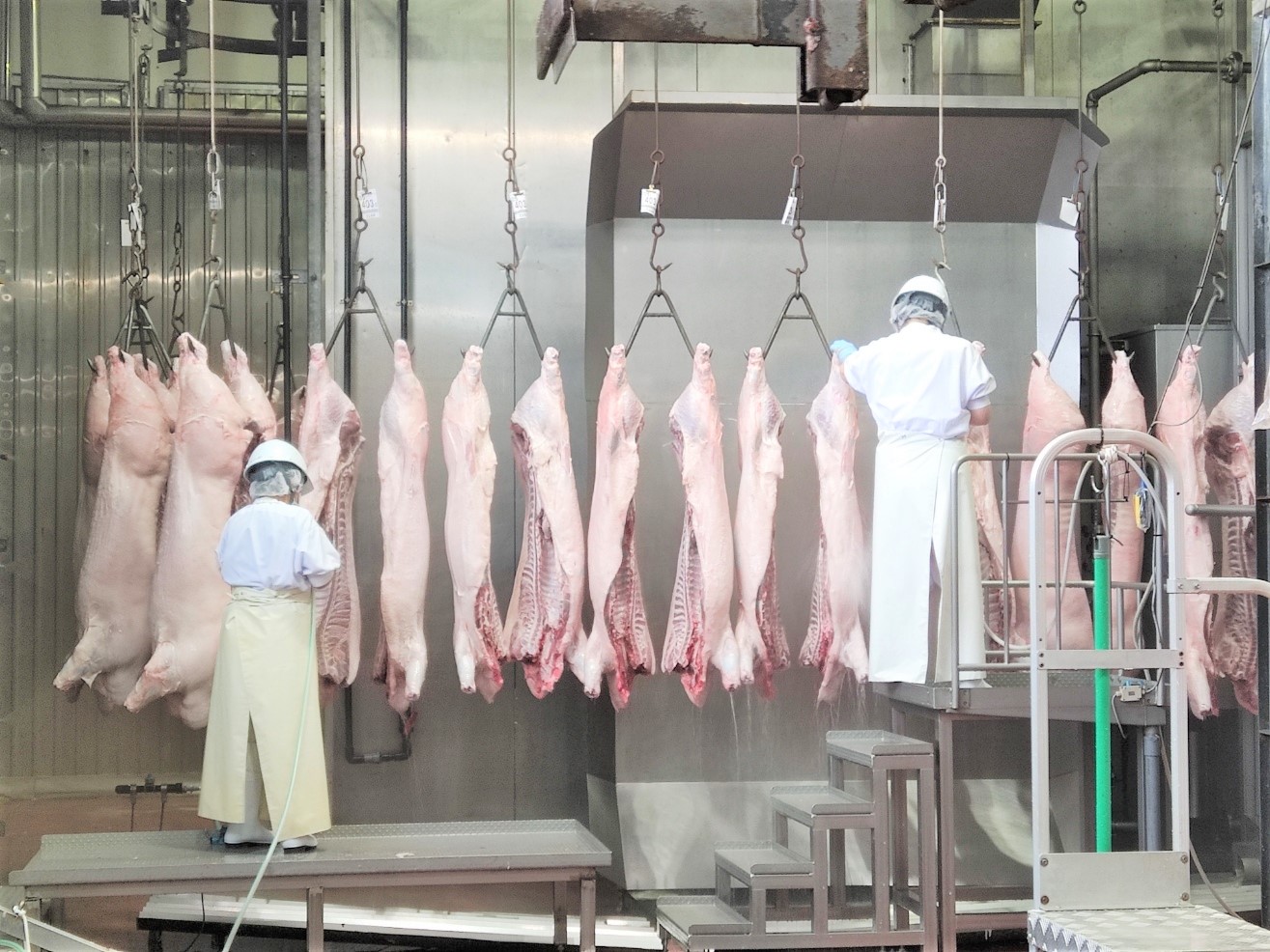 ■食肉製造業務〔正社員〕／千葉県の基幹食肉センターである当社で、共に畜産農家と消費者をつなぐ役割を果たしていきませんか。未経験者歓迎！【移住支援金対象】／株式会社　千葉県食肉公社