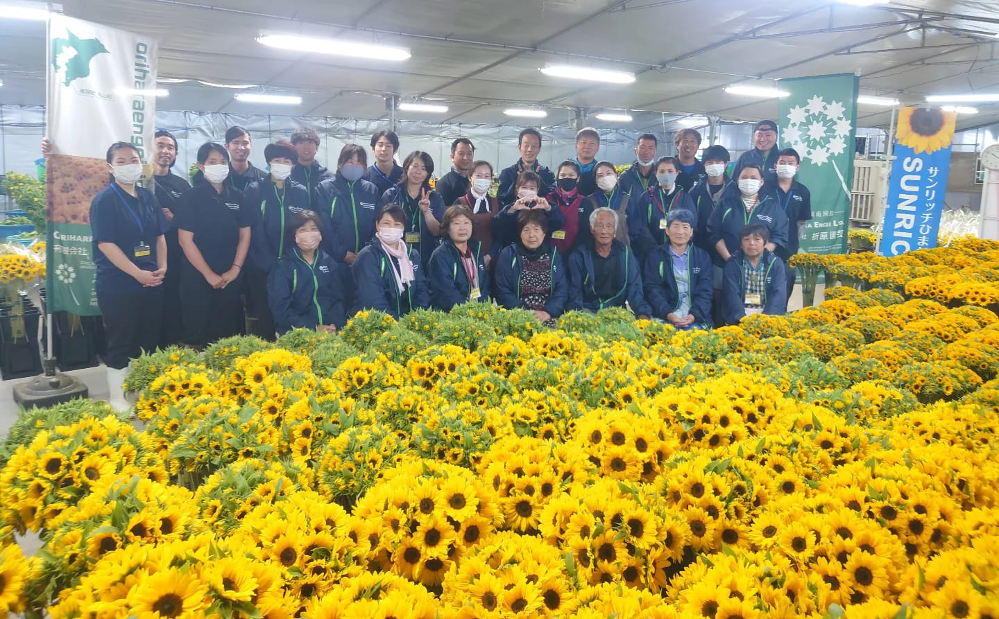 温暖な南房総で年間を通じて様々な花やハーブを生産しましょう。日々の努力が、たくさんの人々の笑顔につながる素敵な仕事です♪【移住支援金対象】／有限会社　折原園芸