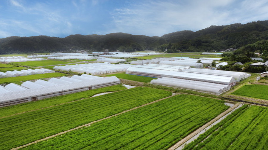 【新卒採用】温暖な南房総市にて、花の栽培・管理・出荷などをおこなう【生産管理スタッフ】の募集です。【移住支援金対象】／株式会社　早坂園芸