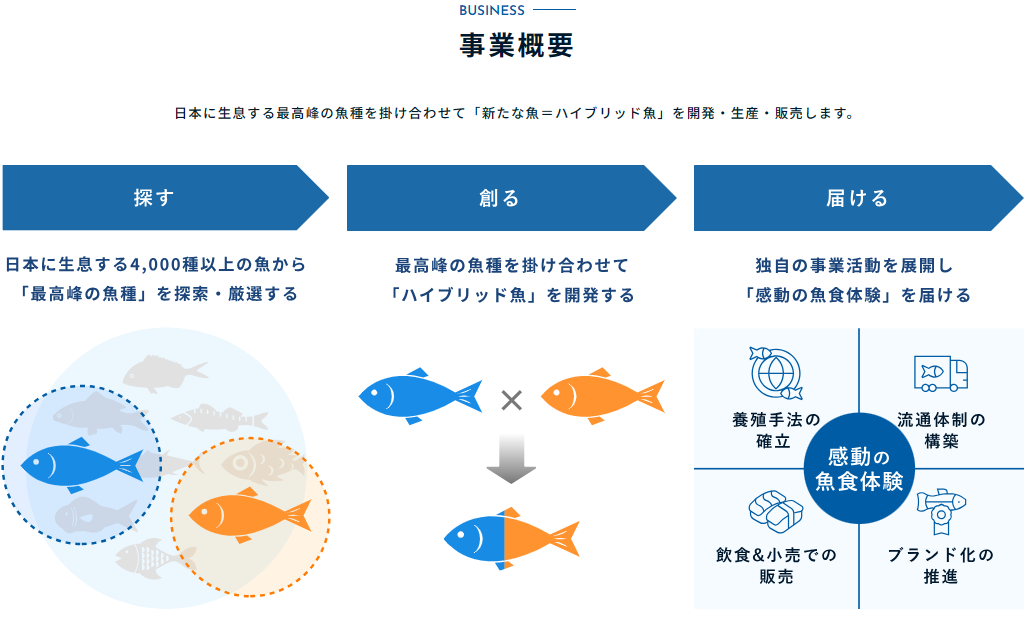 水産スタートアップにおける新規養殖魚の研究開発・飼育・養殖業務【移住支援金対象】／株式会社さかなドリーム