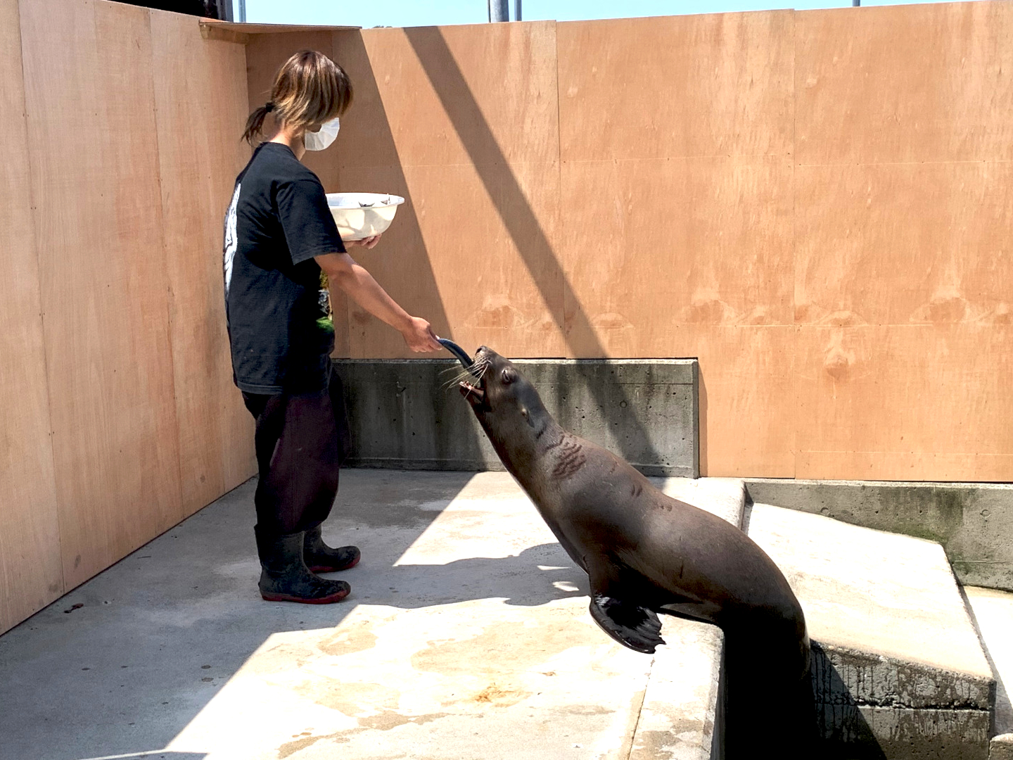 【動物好きに最適！】爬虫類・哺乳類・鳥類・大動物・動物園動物などあらゆる動物の飼育管理・販売を中心とするお仕事です【移住支援金対象】／有限会社バーデン