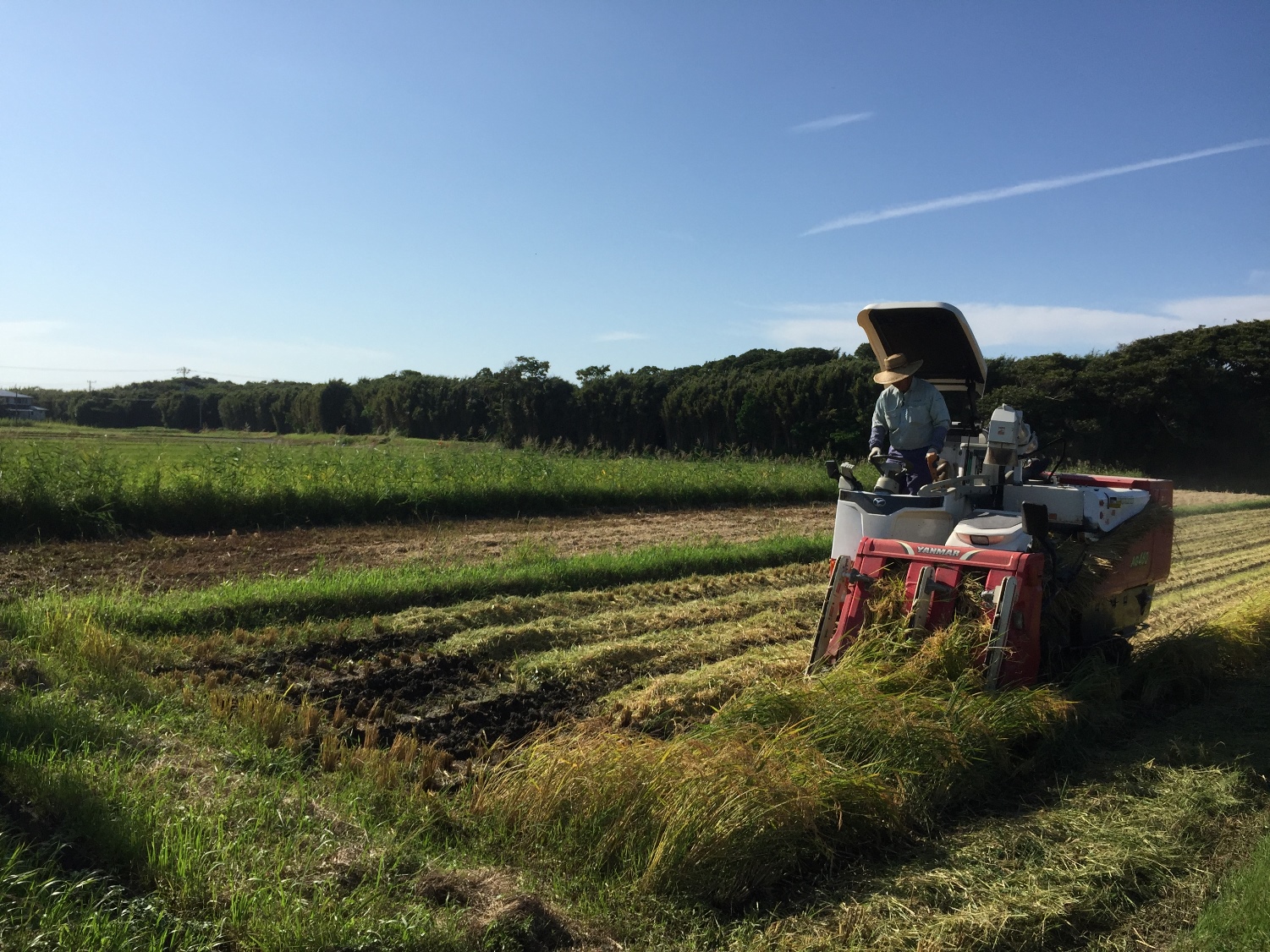 新卒採用総合職募集！お米の生産加工販売を通じて地域の人の食を支えるやりがいのある仕事をお任せします！